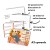 30 Questions to Ask in Autumn inside.jpg